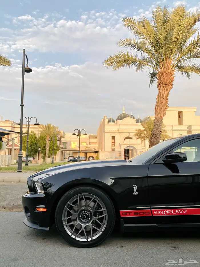 MUSTANG GT500 SHELBYقير عادي 10