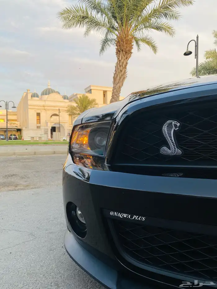 MUSTANG GT500 SHELBYقير عادي 26