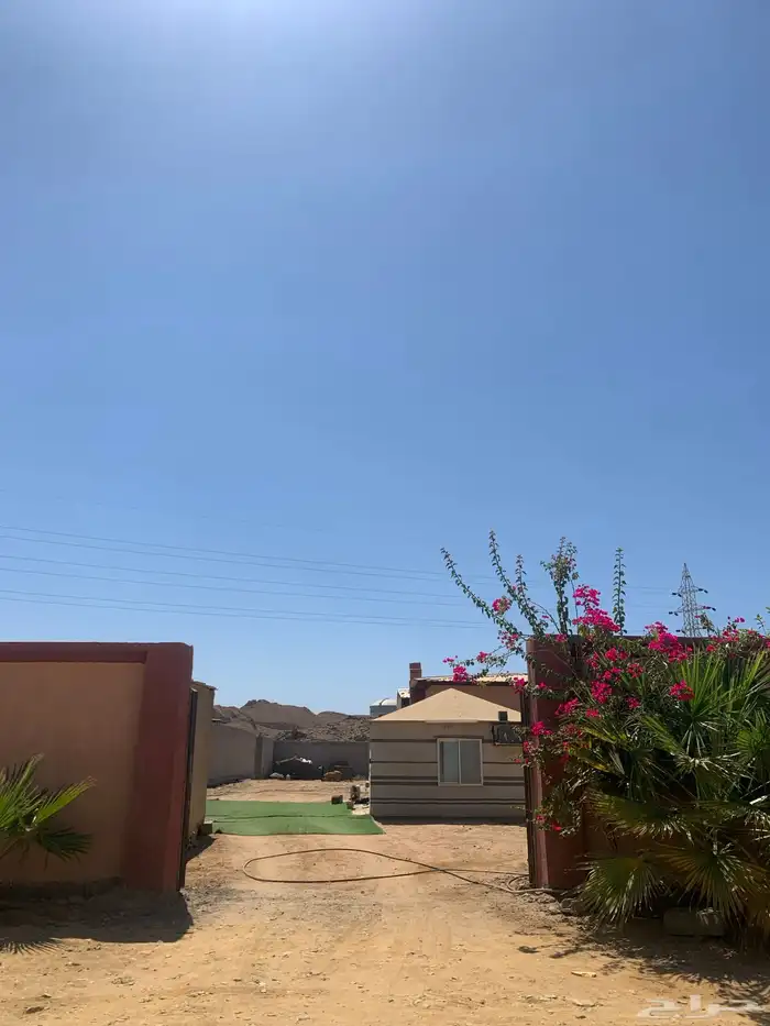 ضبا الفريع استراحه   بيت 1