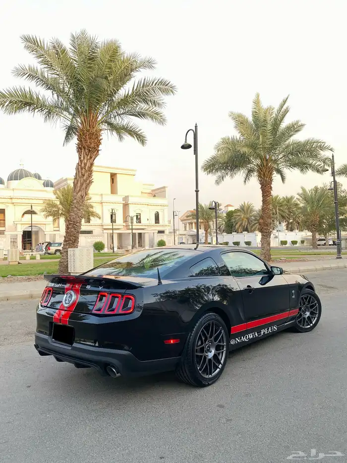 MUSTANG GT500 SHELBYقير عادي 6
