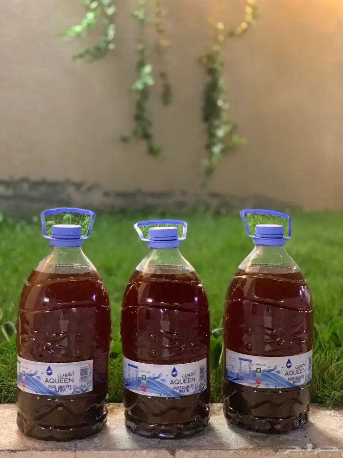 للبيع دبس للغنم 1