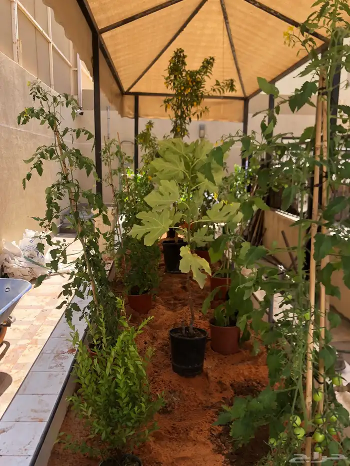 تنسيق الحدائق المنزلية 4