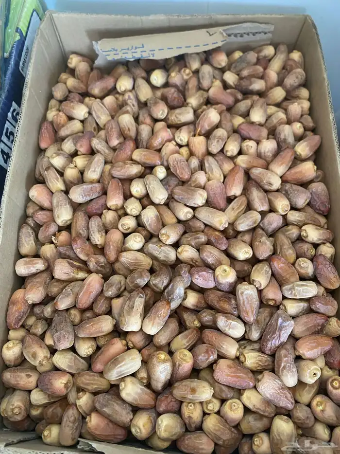 بديره 5 كراتين 1