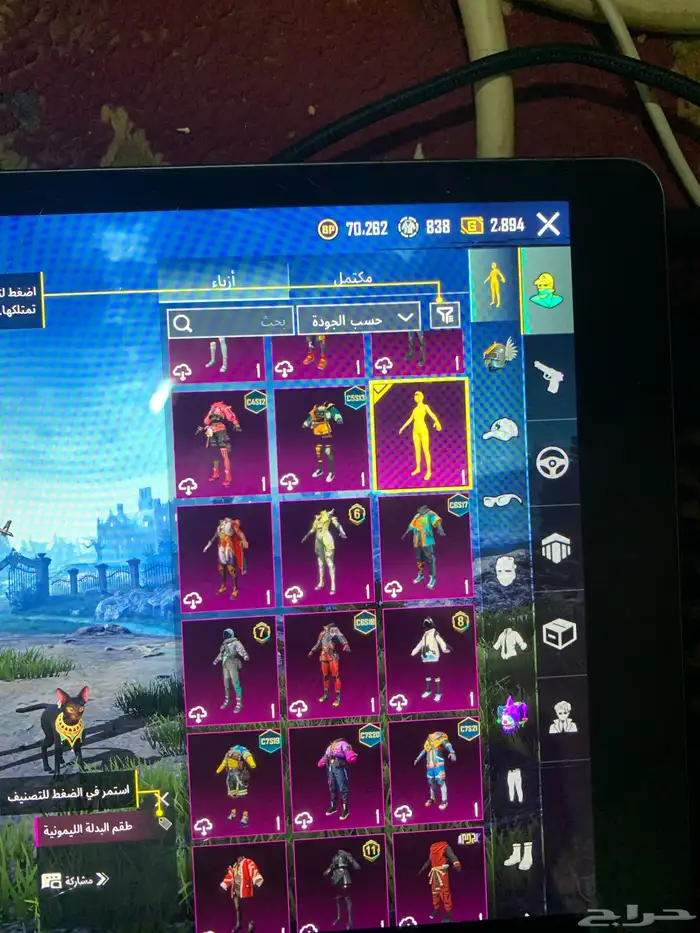 حساب ببجي لفل 80حساب حلو و البيع مستعجل حساب فخم 6