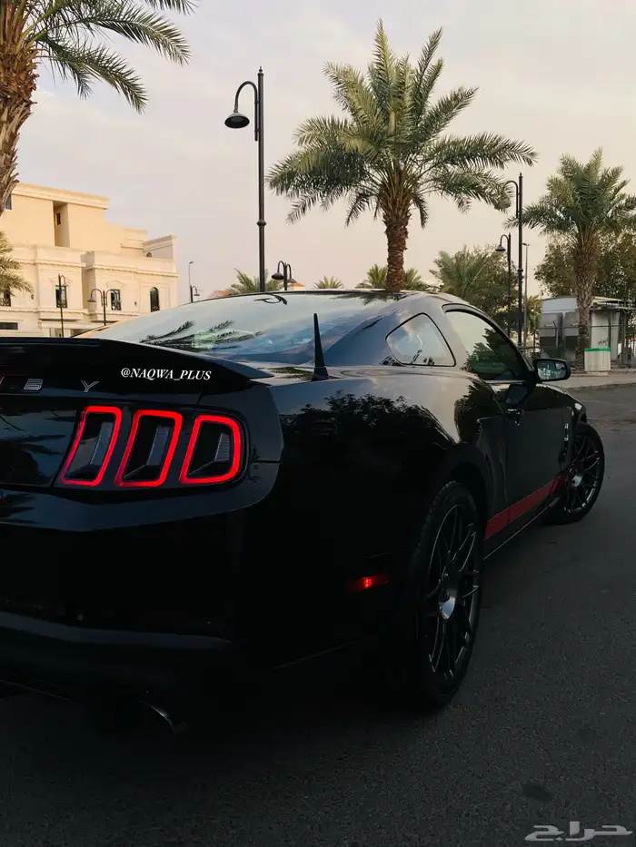 MUSTANG GT500 SHELBYقير عادي 18