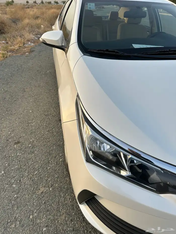 كورلا 2019استندر فتحه جات دفعه منها عبداللطيف جميل 13