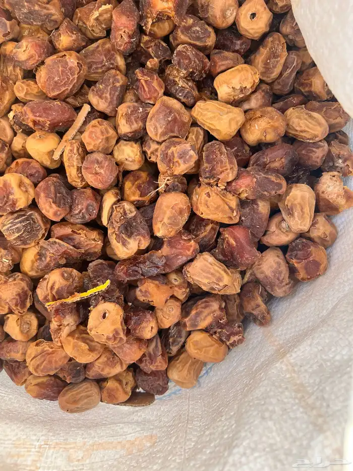 تمر علاف نظييف 3