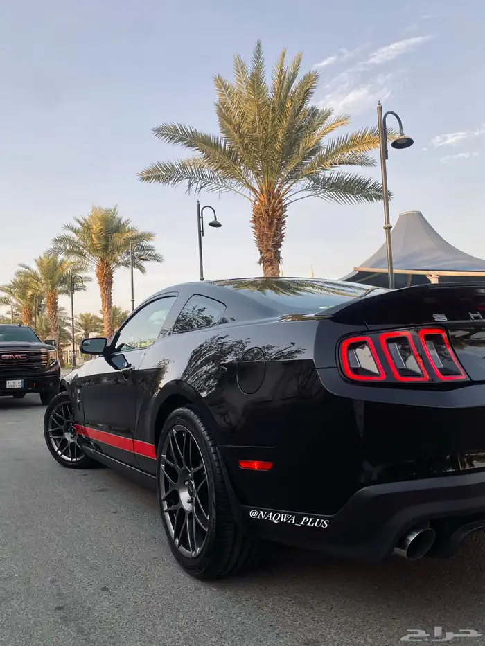 MUSTANG GT500 SHELBYقير عادي 36