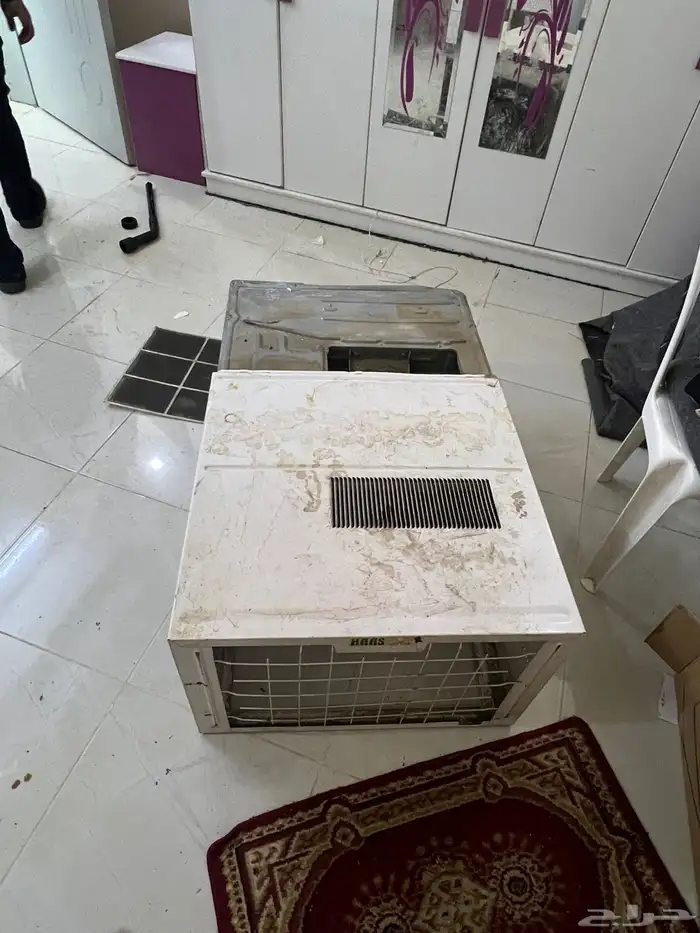 الشرايع 5