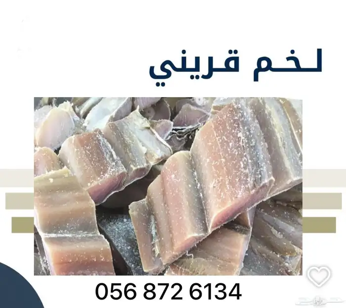 لخم قرينى حضرمى 1