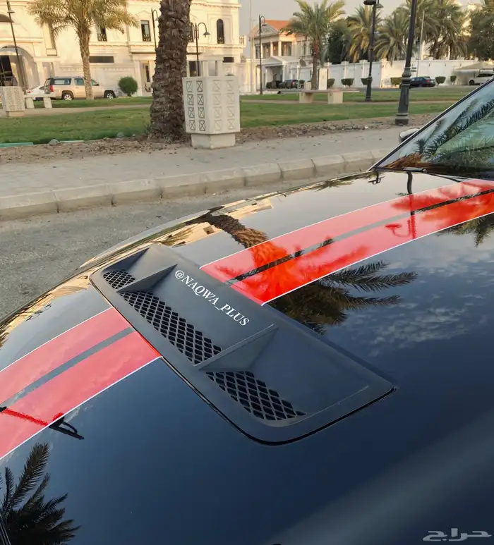 MUSTANG GT500 SHELBYقير عادي 11