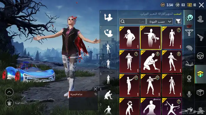 حساب ببجي للبيع 3