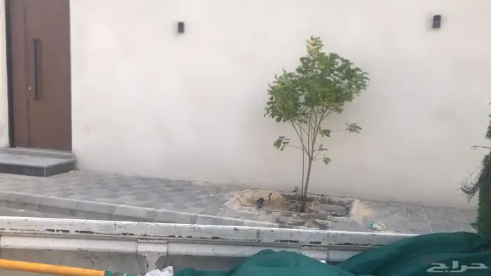 تنسيق الحدائق المنزلية 35