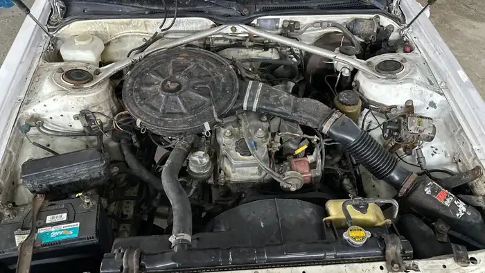 كرسيدا مفحوصه مجدده من والى 7