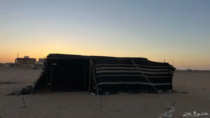 بيت شعر شمالي عموديين 5 9 جهاز كل شي 0