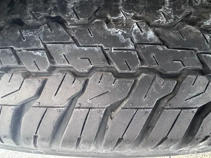 جكسار ( 3 سعودي نظيف ) 95
