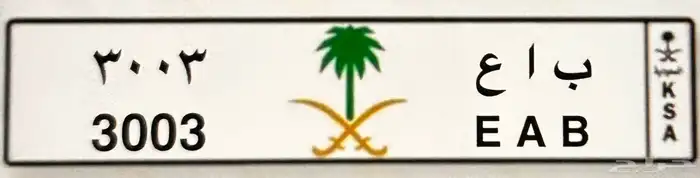 لوحة مميزه 4