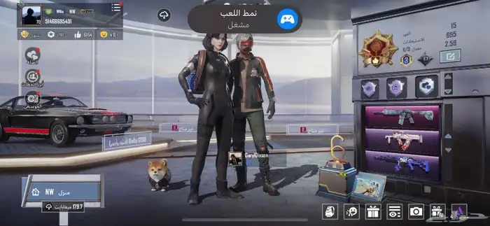 حساب ببجي مستوا 70 حساب فخم 0
