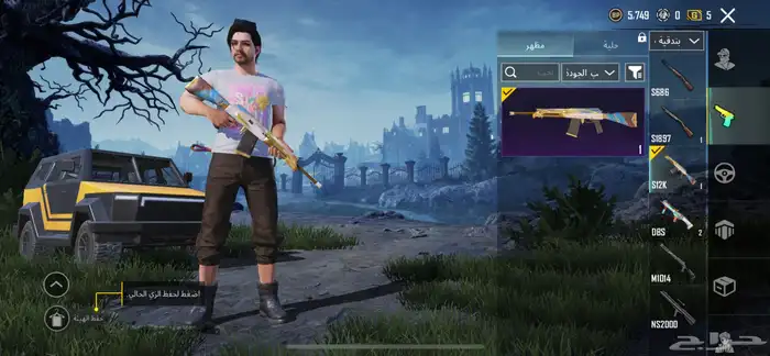 حساب ببجي للبيع 17
