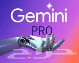 Perplexity Pro شهر او Gemini Pro سنة   2 تيرا تخزين 0