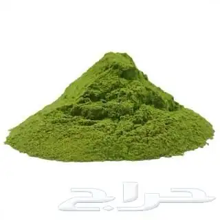 مورنجا عضويه 100 1