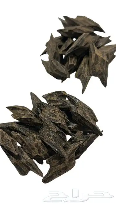 عود تايقر فتنامي درجه اولى 10