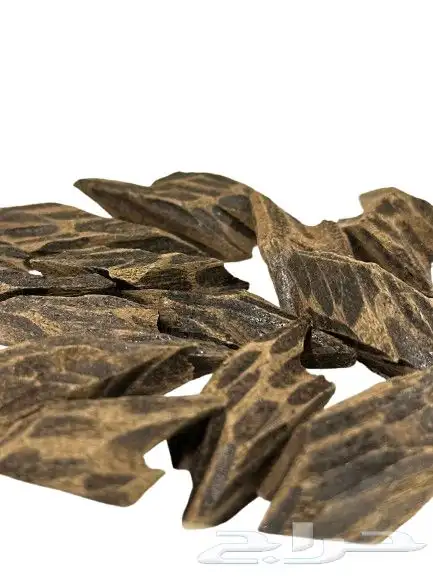 عود تايقر فتنامي درجه اولى 13