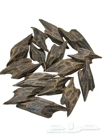 عود تايقر فتنامي درجه اولى 12