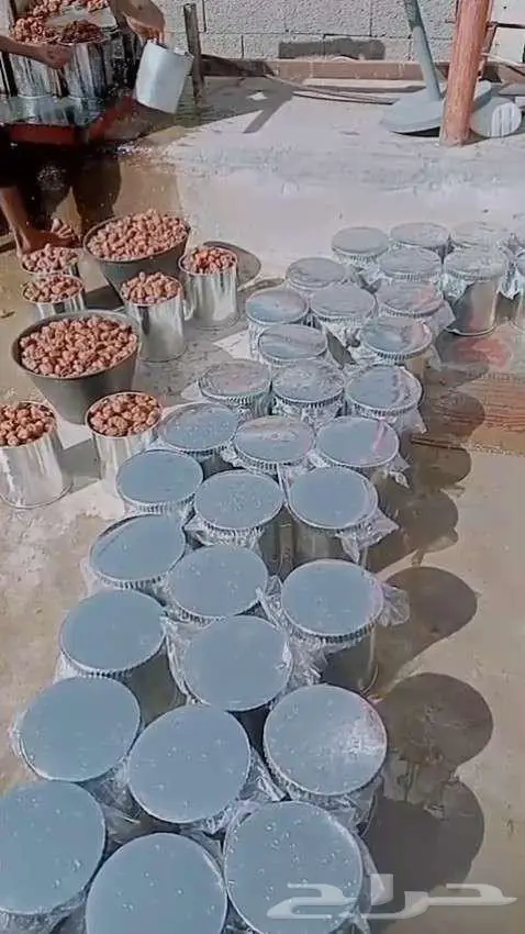 تمر خلاص نجران 3 6 0 9 6 6 5 0 5 0 3