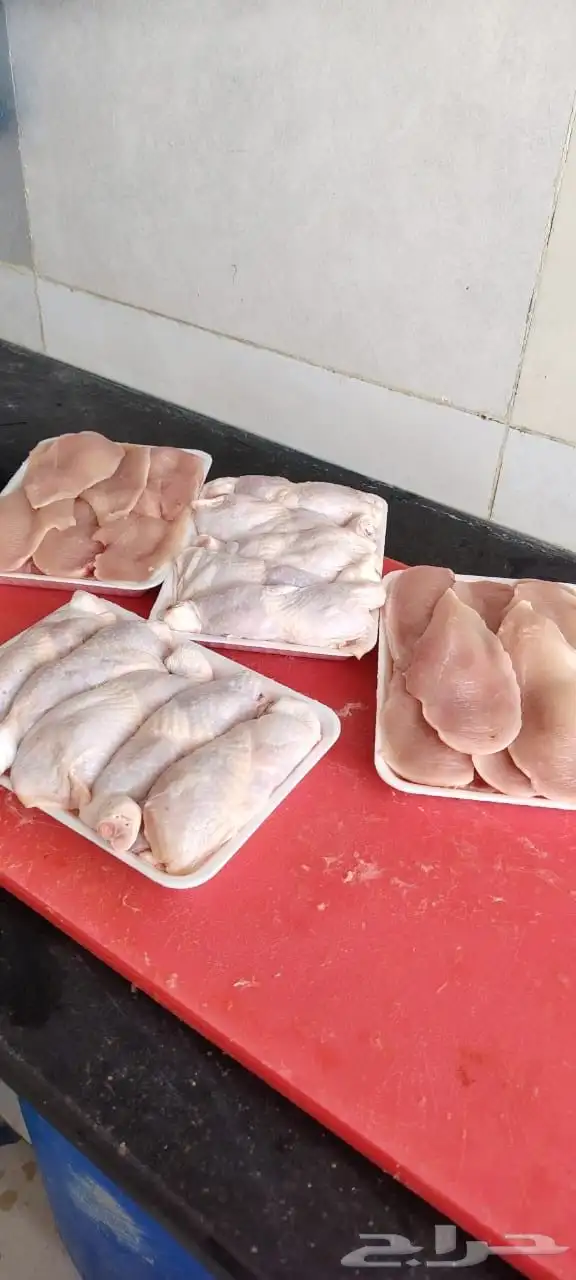 دجاج 8