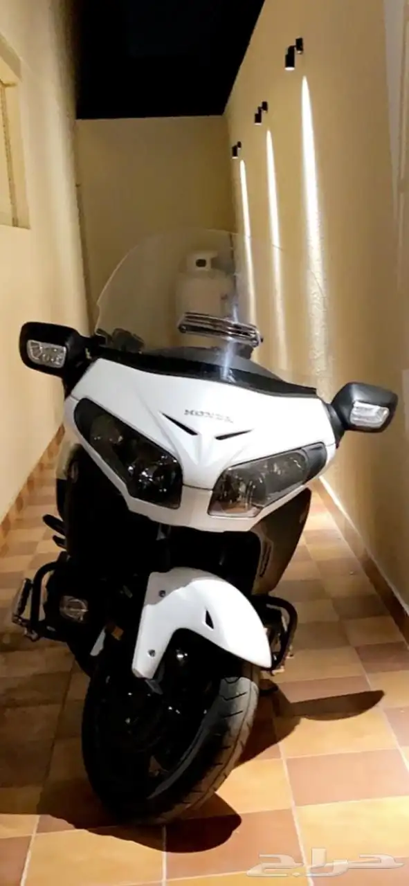 gold wing f6b 5