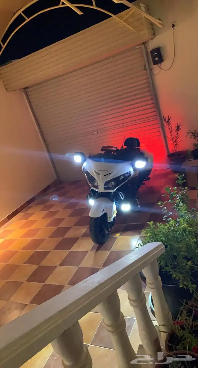 gold wing f6b 8