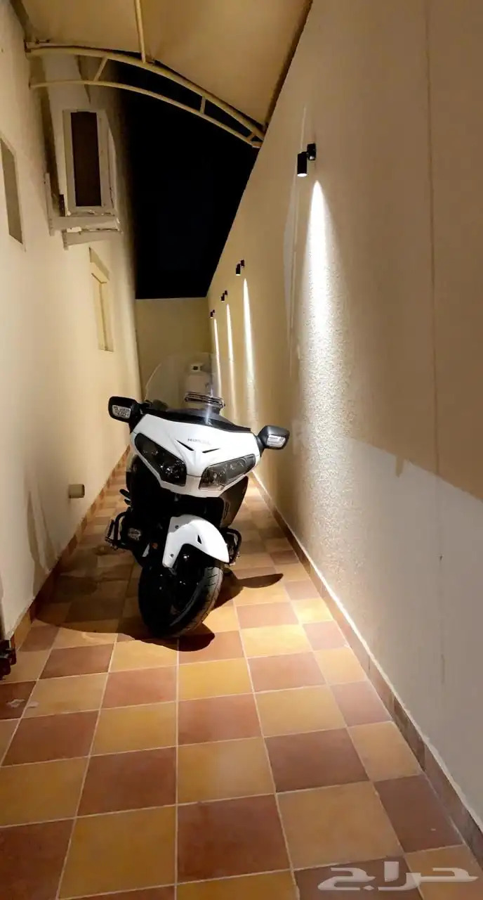 gold wing f6b 6