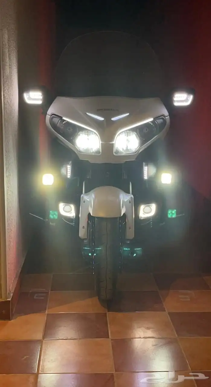 gold wing f6b 0