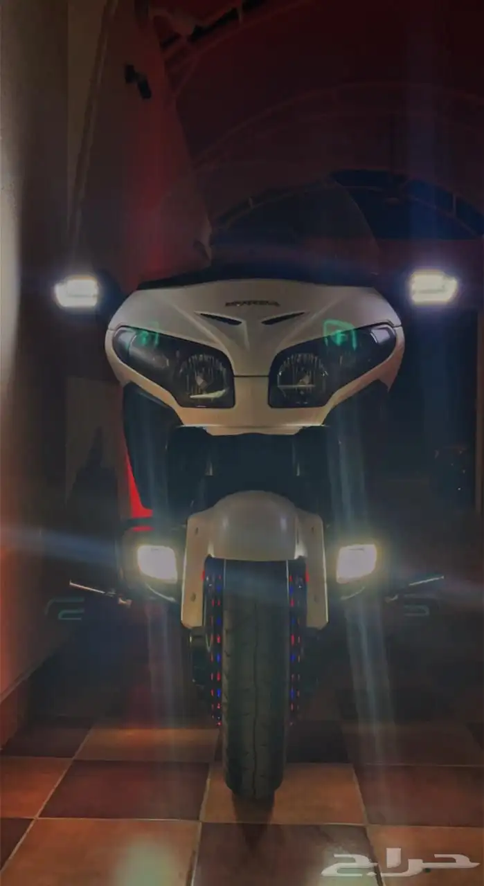 gold wing f6b 1