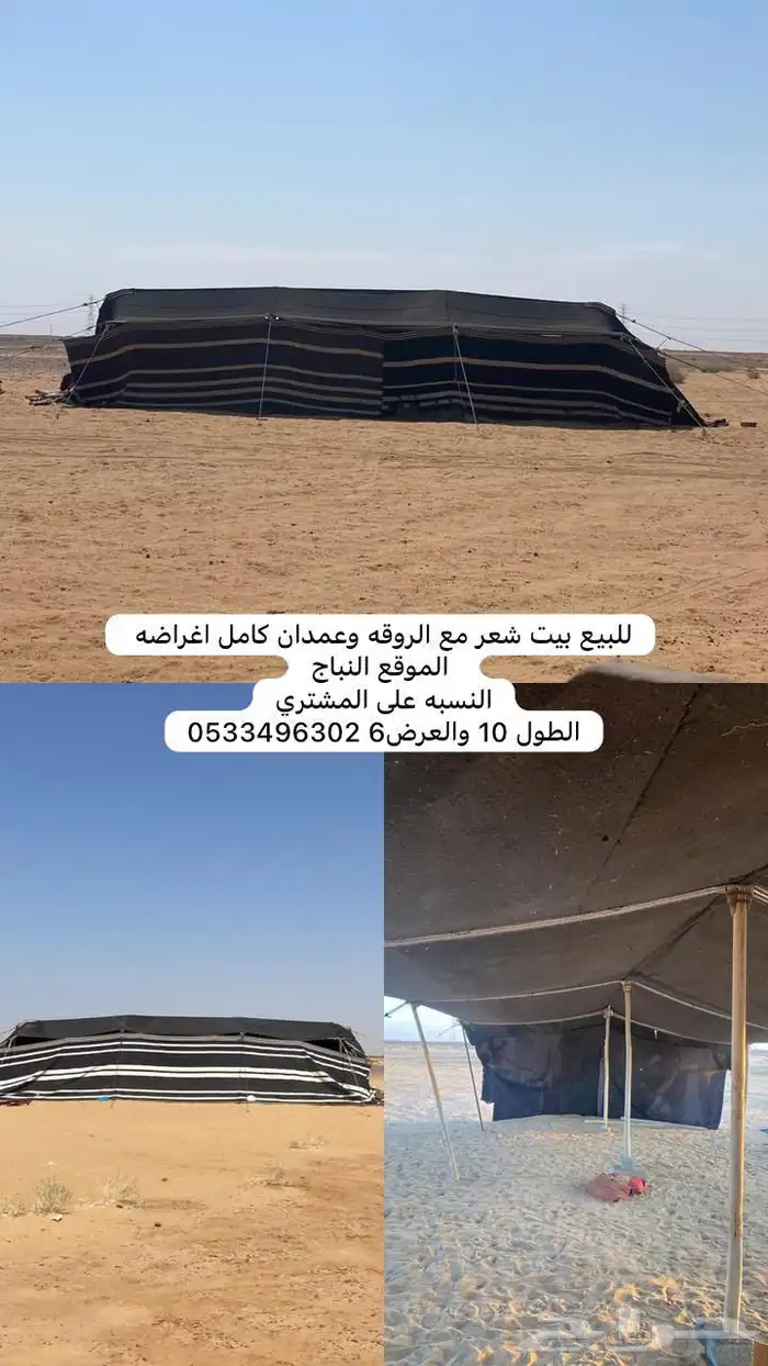 للبيع بيت شعر طول10 والعرض6 0