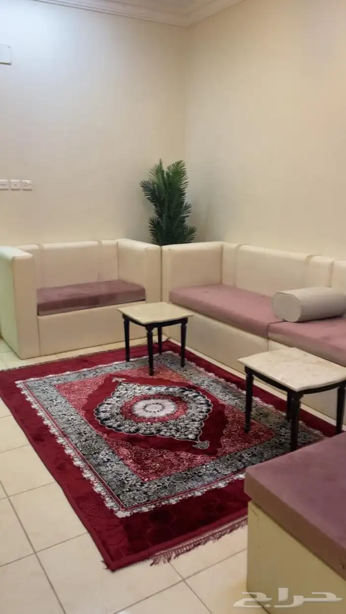 شقق عزاب مفروش للايجار 2