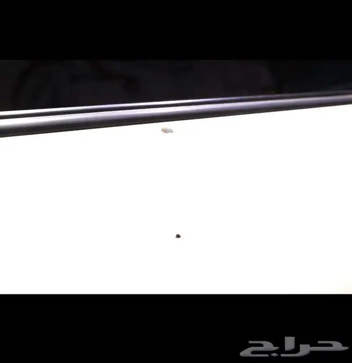 سيكويا 2014 للبيع ابيض لؤلؤي 13