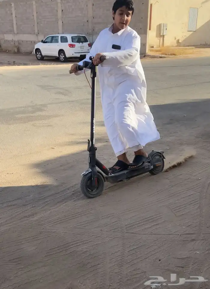 كلب شيرازي للبيع سبب البيع مغير يسحب جلنطات كماموضح فصوره 1