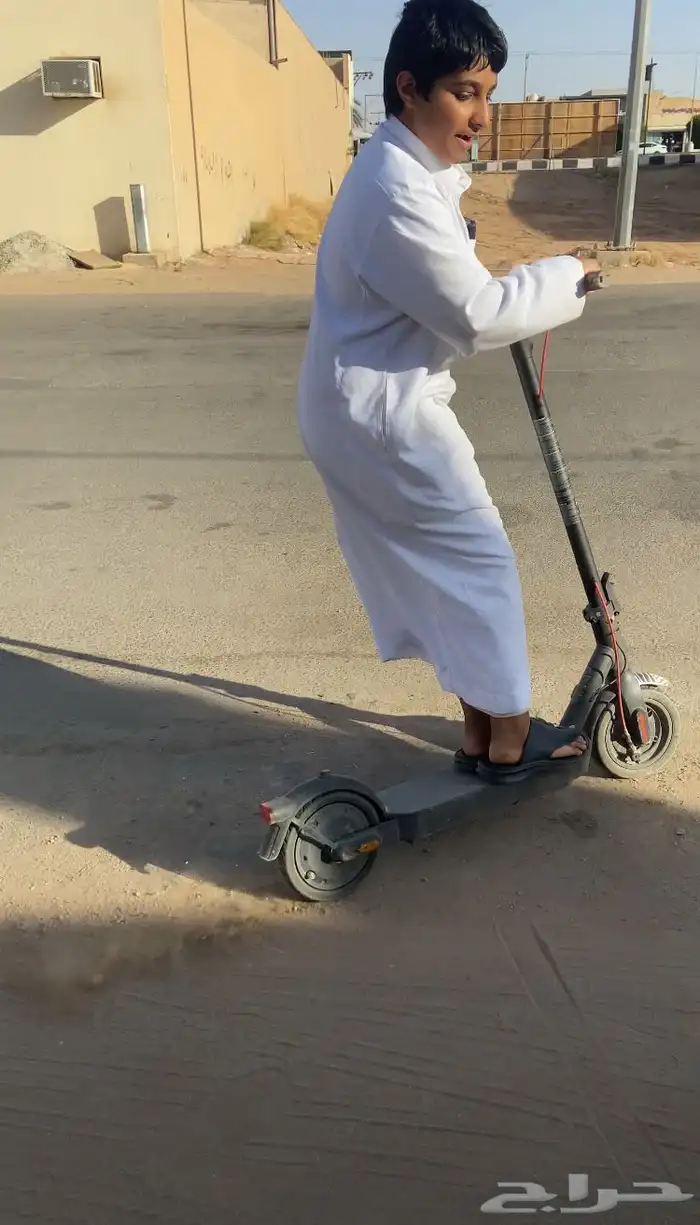 كلب شيرازي للبيع سبب البيع مغير يسحب جلنطات كماموضح فصوره 3