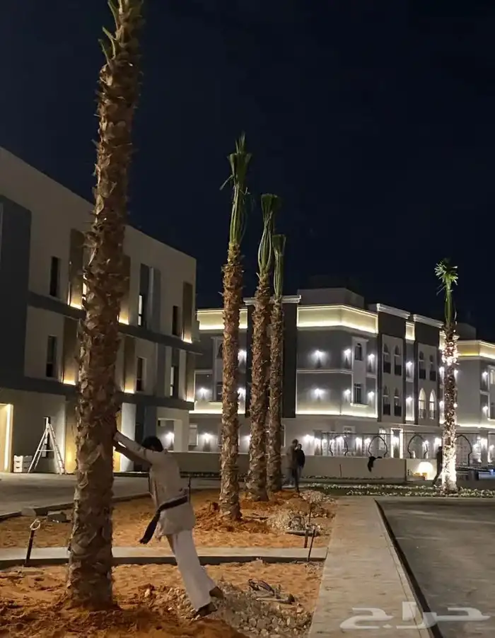 تنسيق الحدائق المنزلية 7