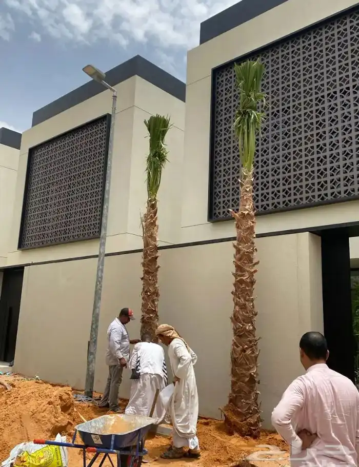 تنسيق الحدائق المنزلية 15