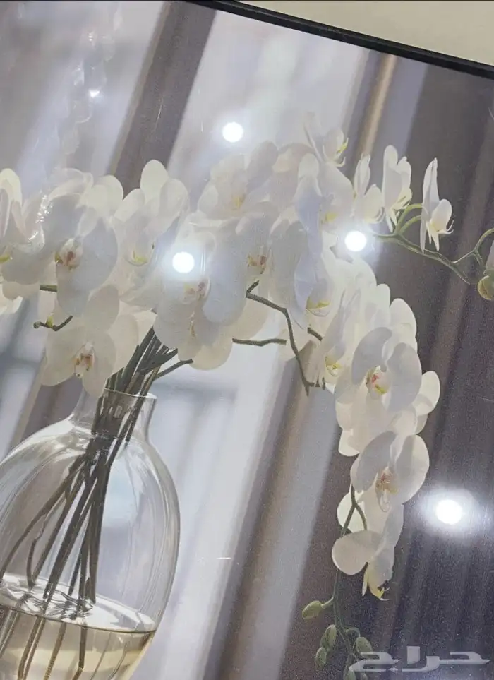 لوحه 1