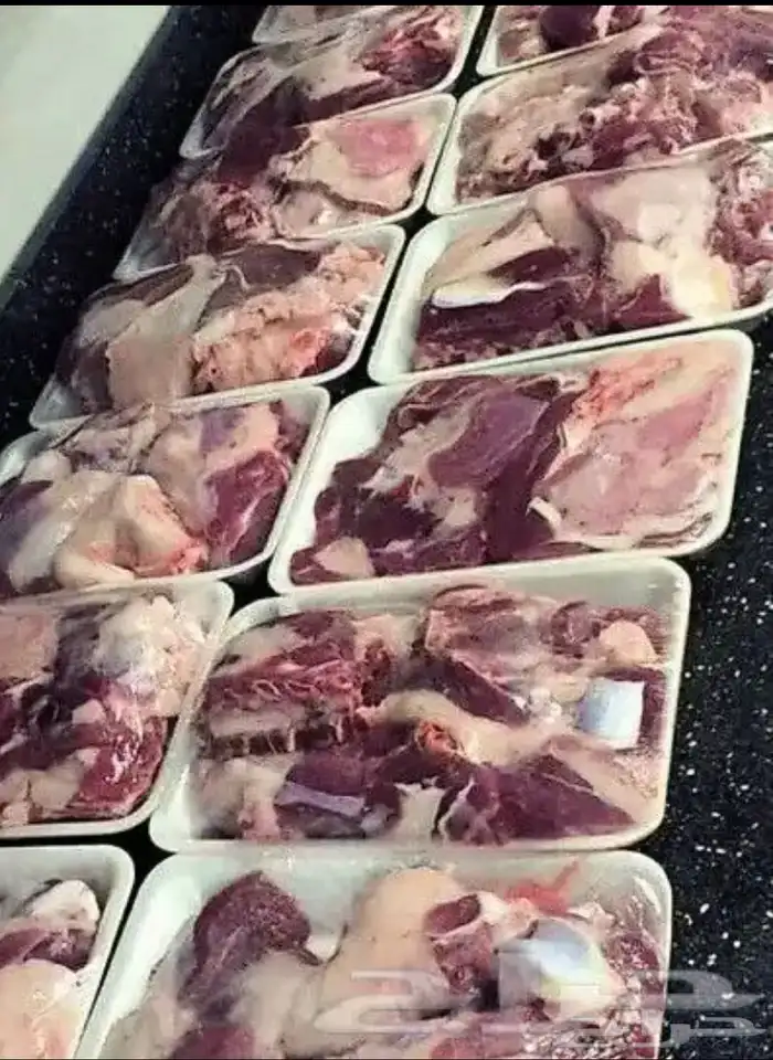 ذبايح الشرقيه 7