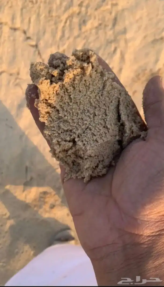 نجران 3