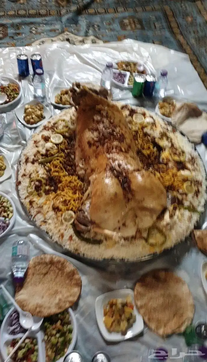 ذبايح الشرقيه 3