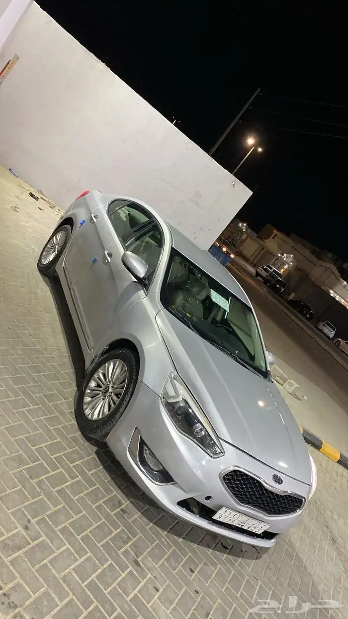 كادنزا 2016 4