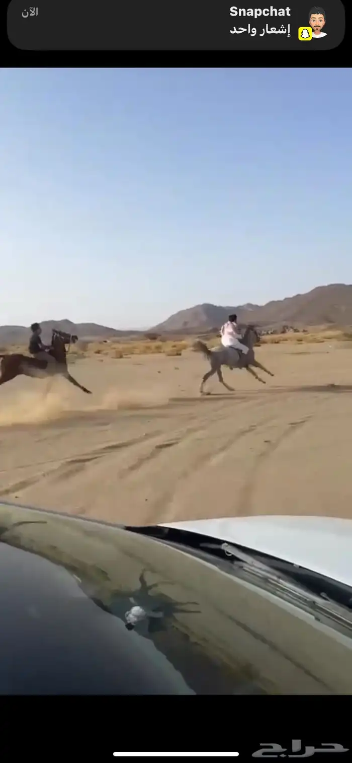 حصان واهو 5