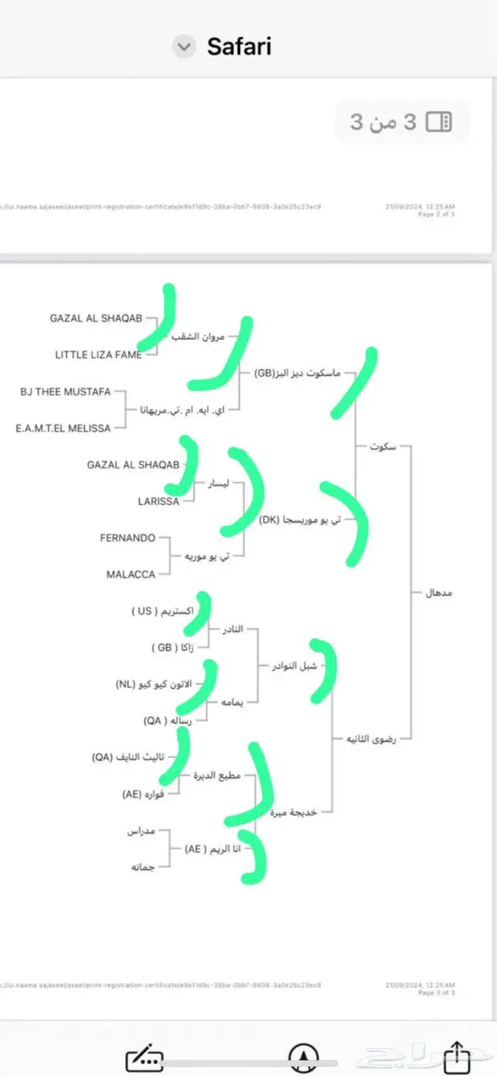 حصان مكس 2