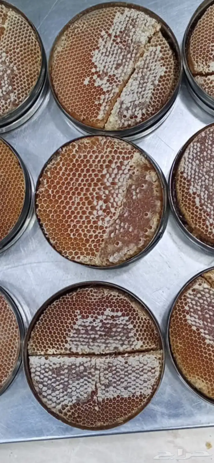 عسل سدر دوعني فاخر وعسل السمره 0